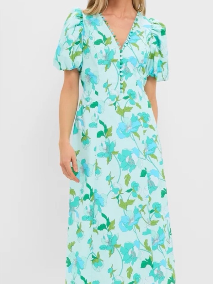 Tuckernuck / Hyacinth House Shades Of Blue Floral Marcy Midi Dress